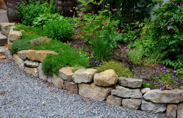 Decorative Border Installation